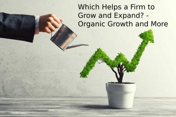 Which Helps a Firm to Grow and Expand