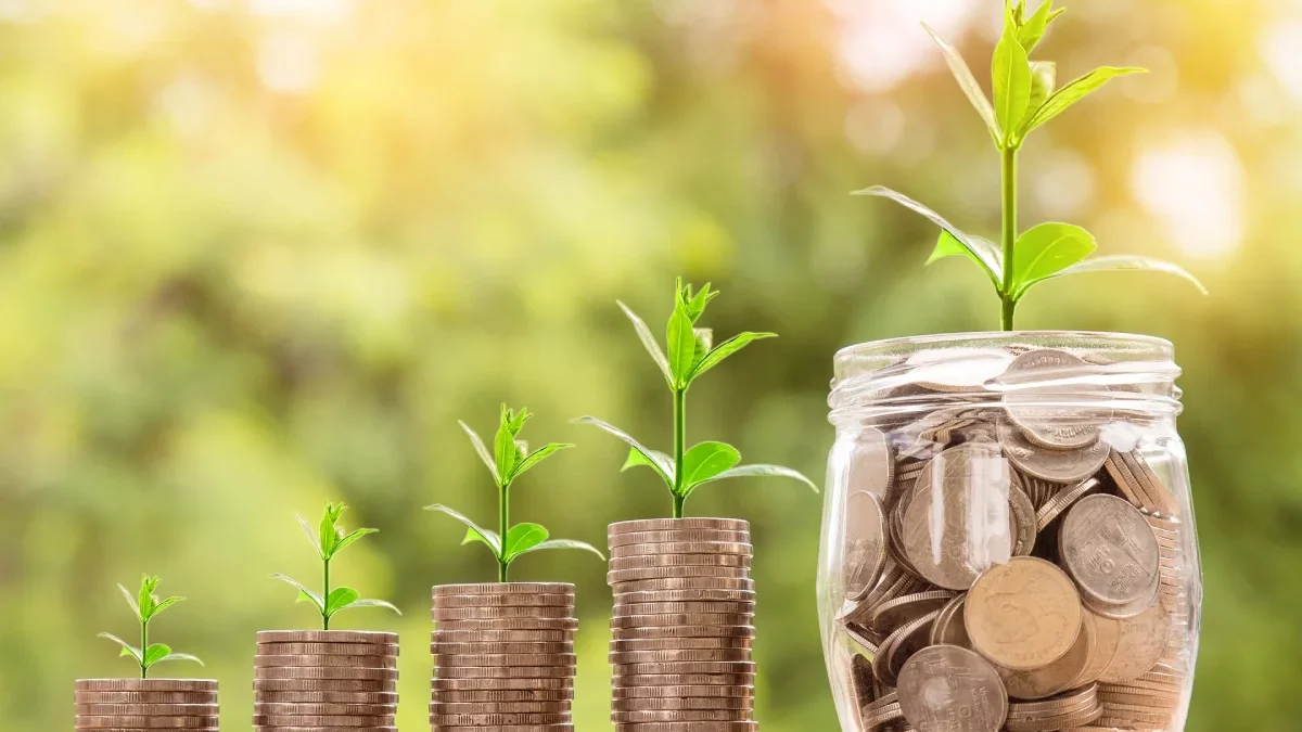 Which Helps a Firm to Grow and Expand?