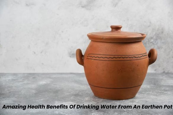 wellhealthorganic.com_some-amazing-health-benefits-of-drinking-water-from-an-earthen-pot