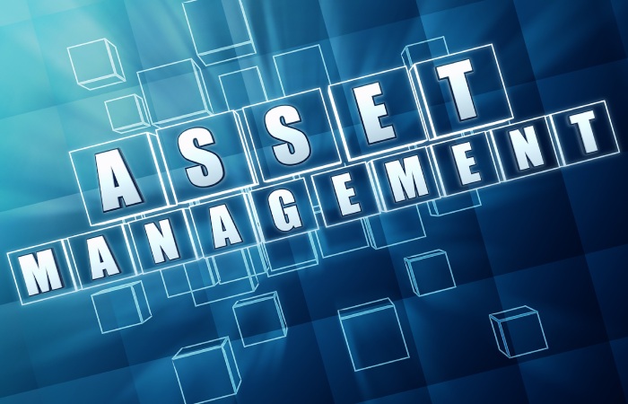 Understanding Asset Management