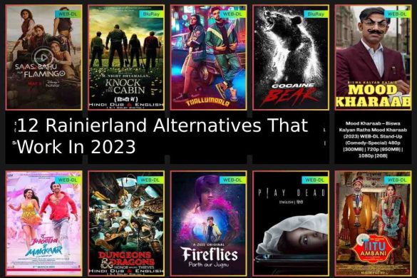 12 Rainierland Alternatives That Work In 2023 